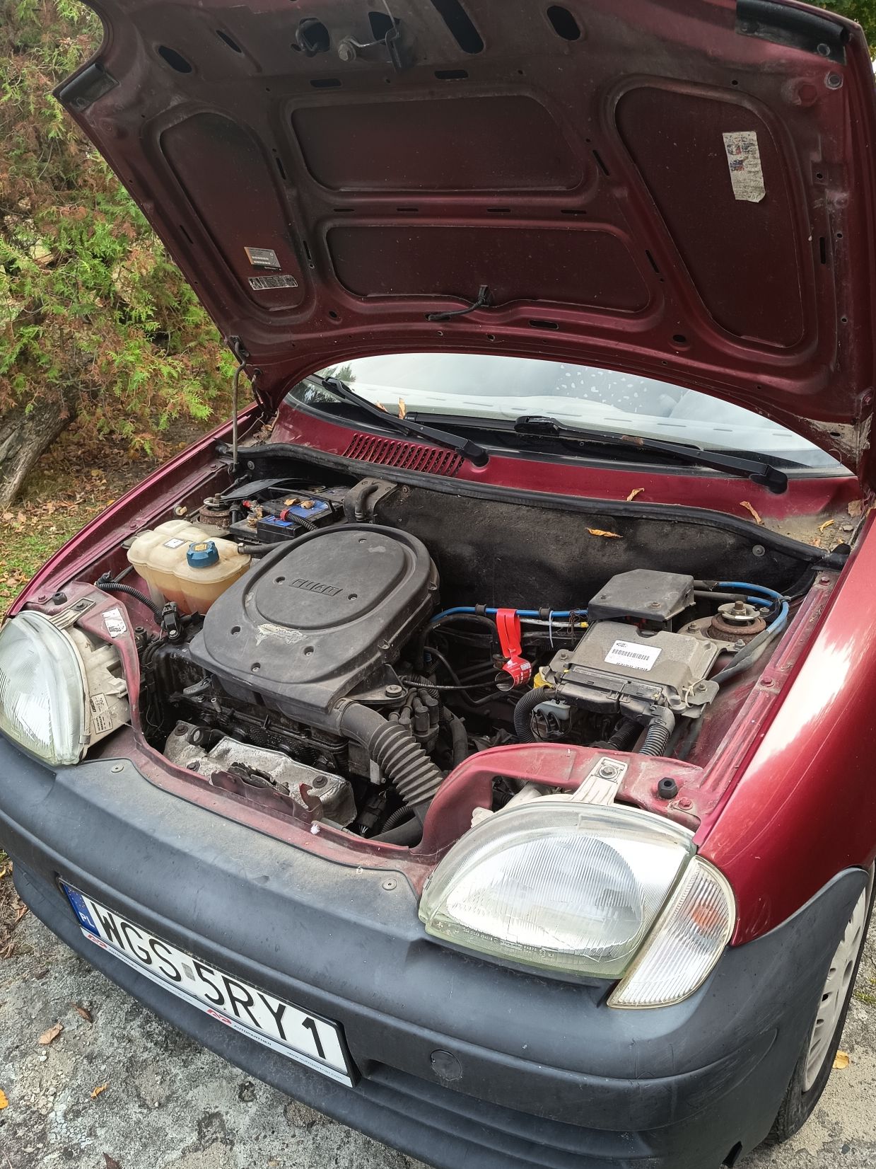 Fiat Seicento 2003 - zdjęcie 2
