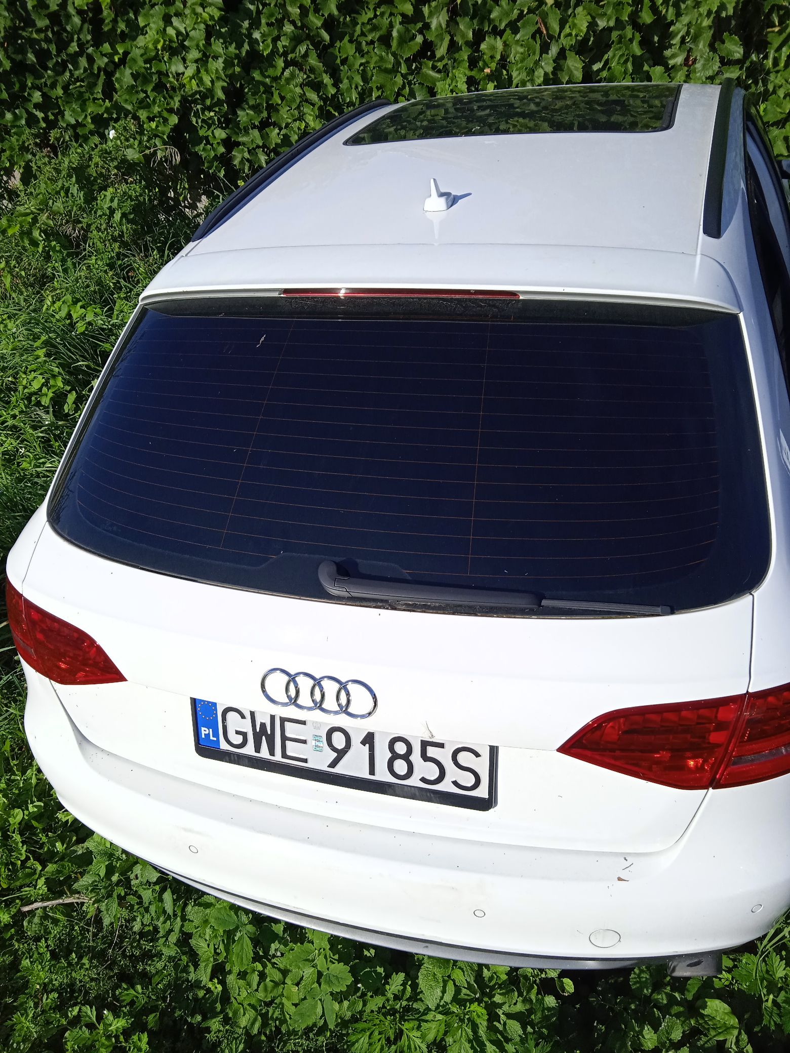 Zdjęcie tylnej klapy pojazdu