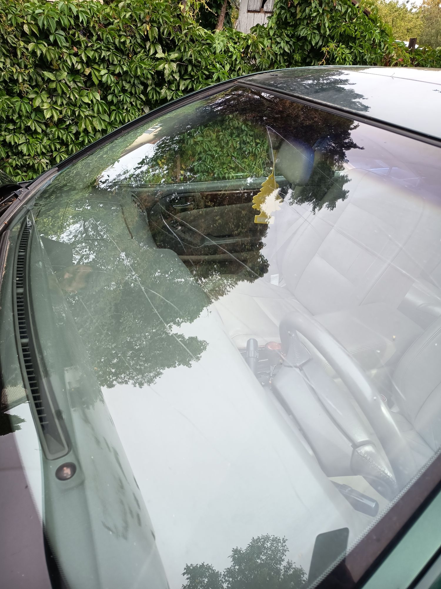Lexus GS300 - detal