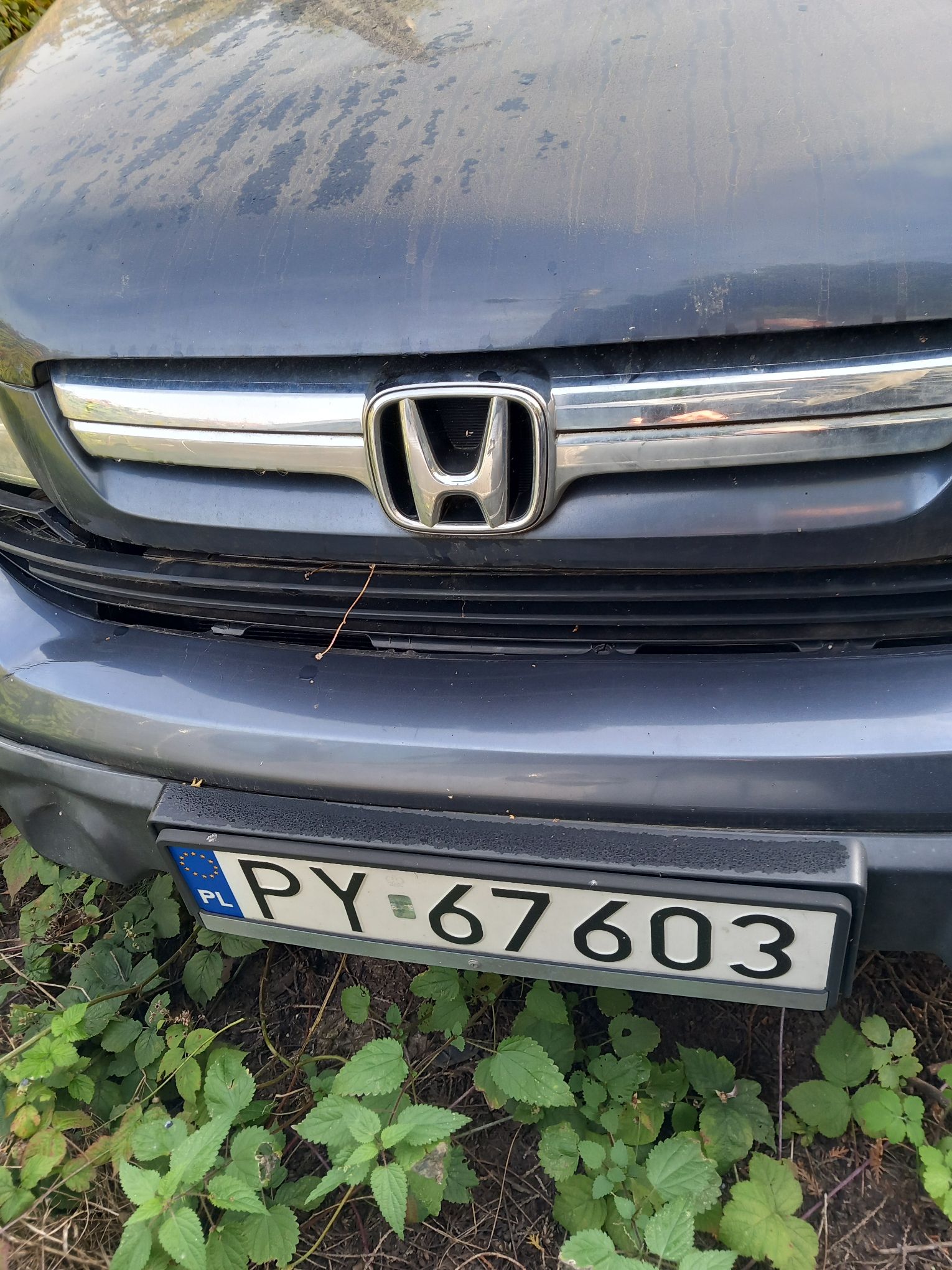 Maska i grill