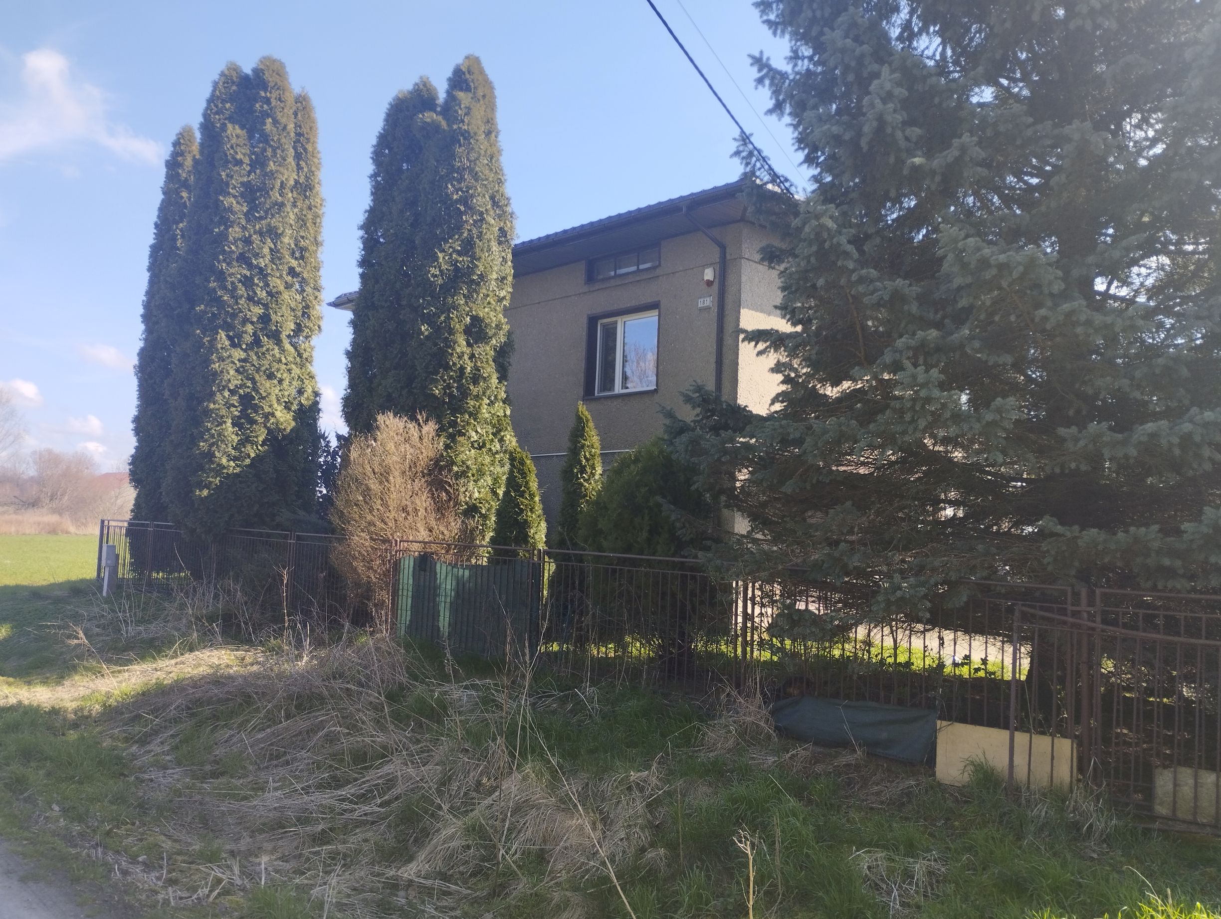 Dwukondygnacyjny dom jednorodzinny otoczony ogrodzeniem i wysokimi drzewami iglastymi. Przed posesją znajduje się pas trawy.
