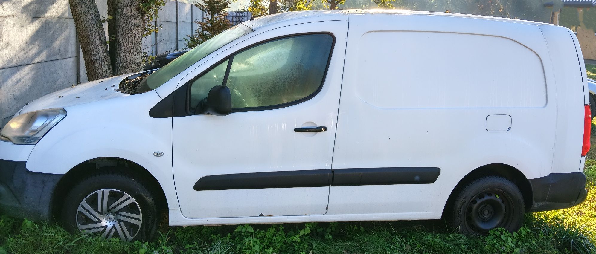 Citroën Berlingo - zdjęcie 1