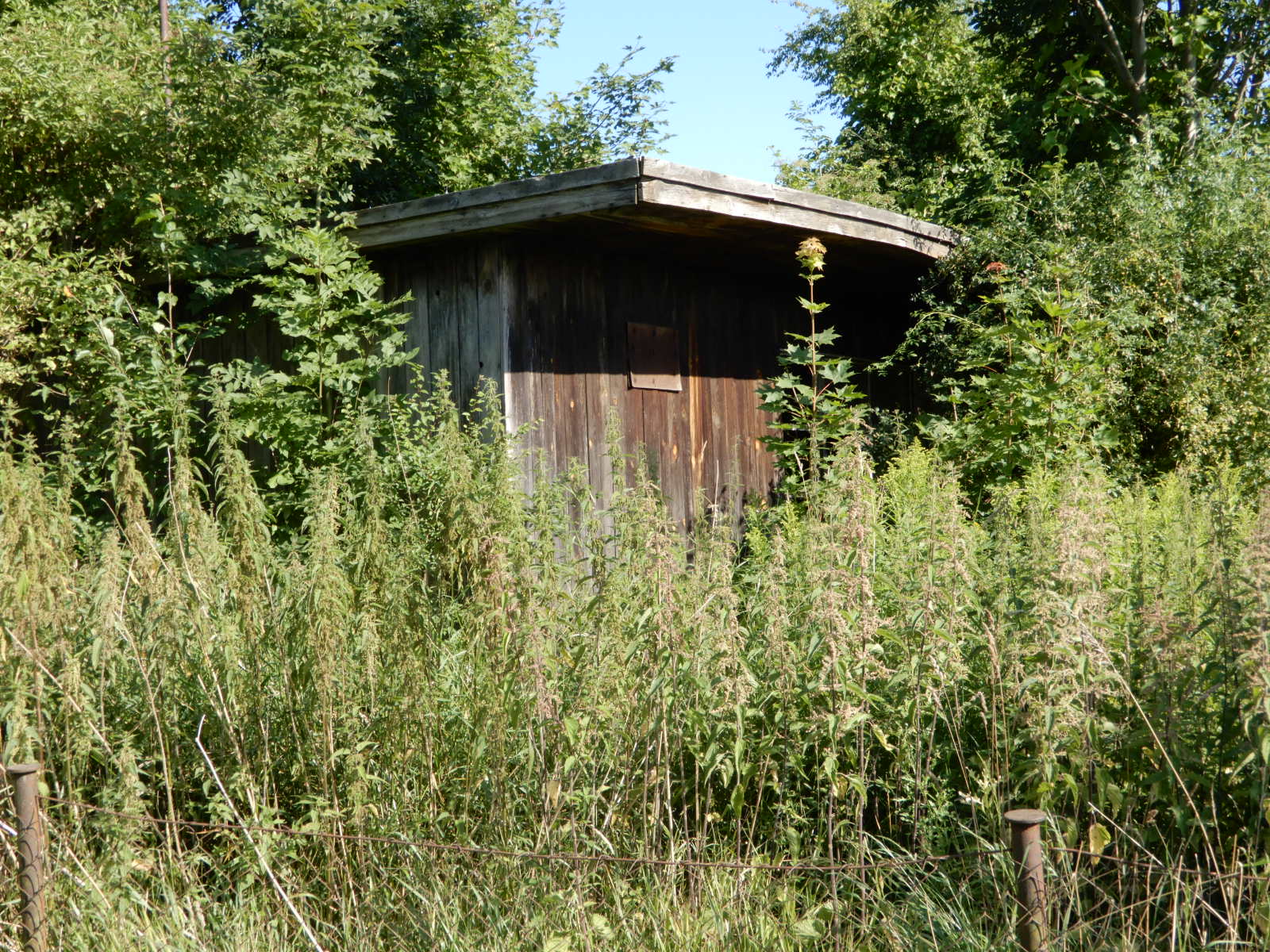 Widok na budynek niemieszkalny o konstrukcji drewnianej