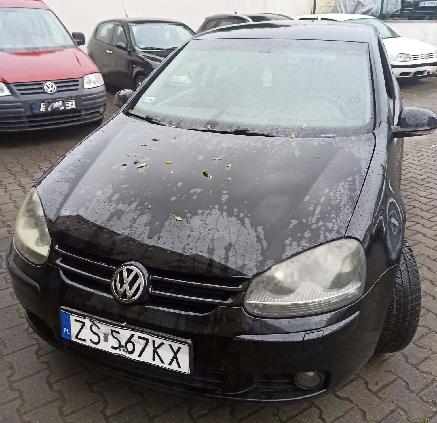 Volkswagen Golf - zdjęcie 1
