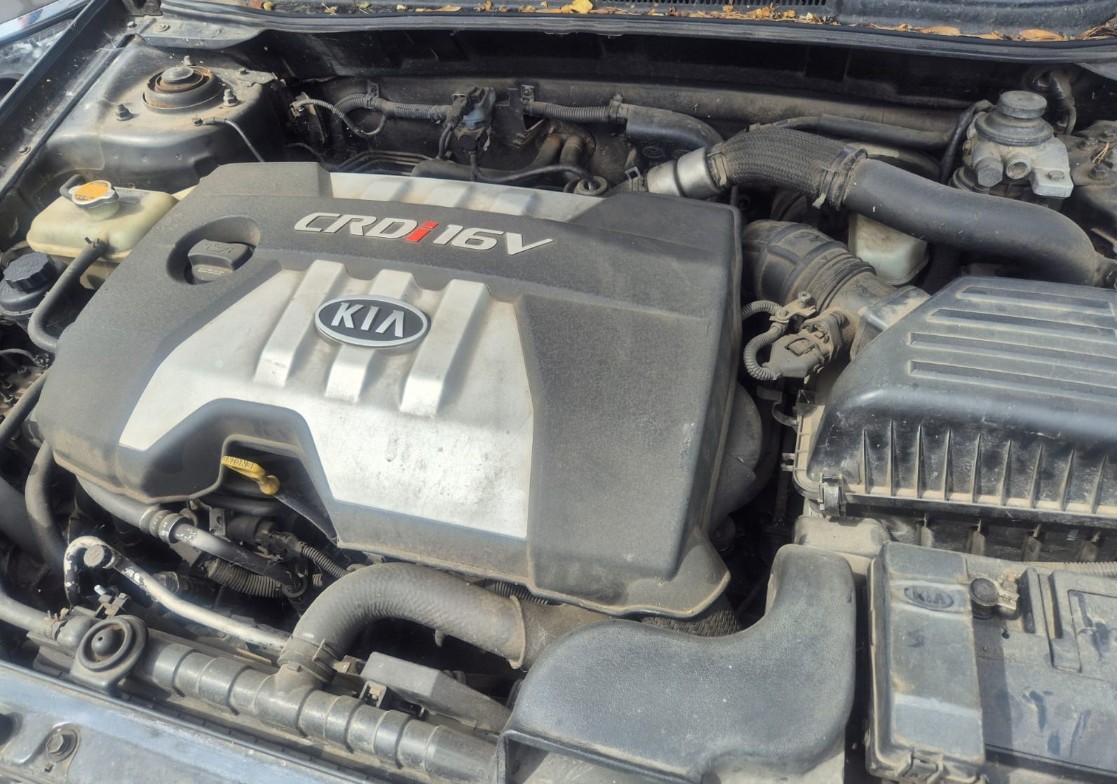 Kia Cerato - zdjęcie 8