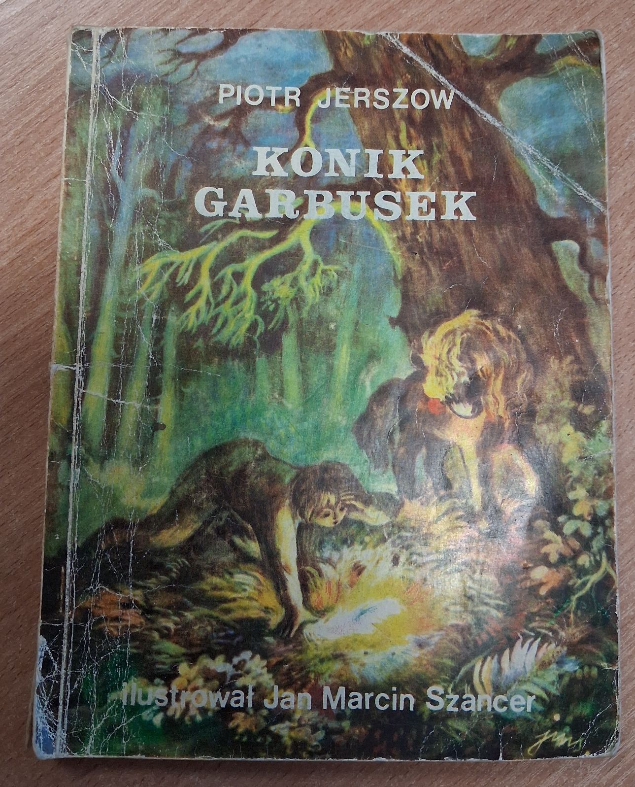 15 - Konik Garbusek.jpg
