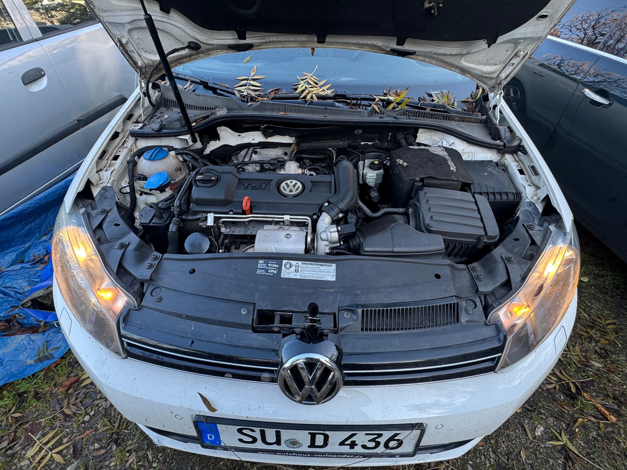 Volkswagen Golf - zdjęcie 3