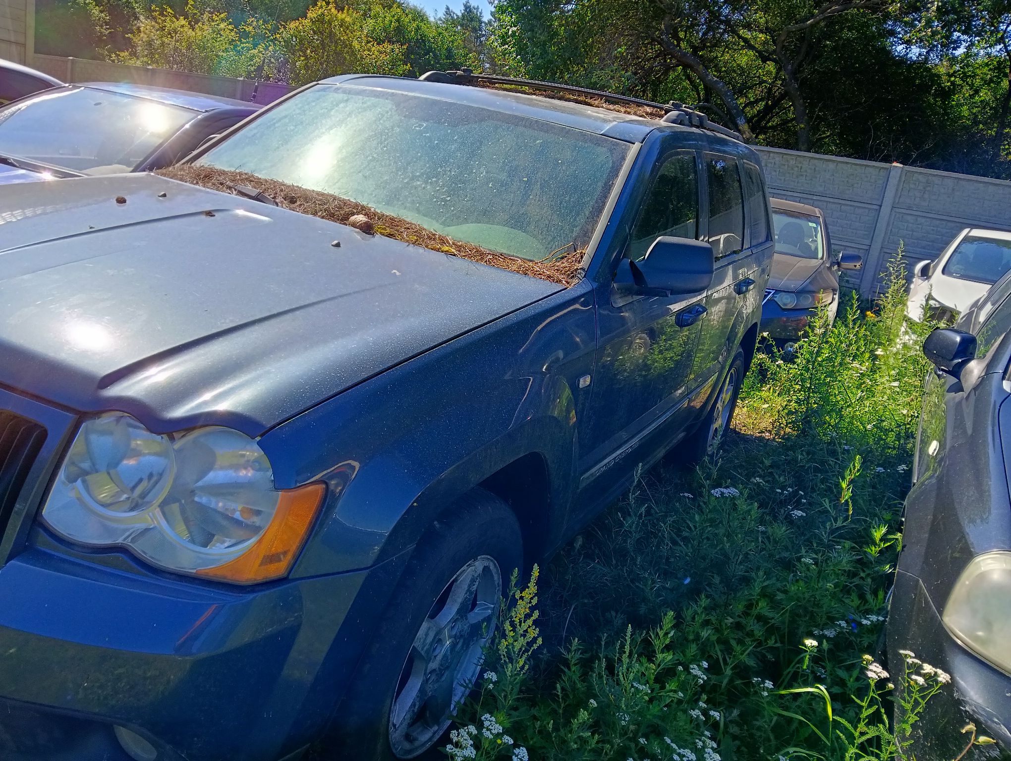 Jeep Grand Cherokee - zdjęcie 2