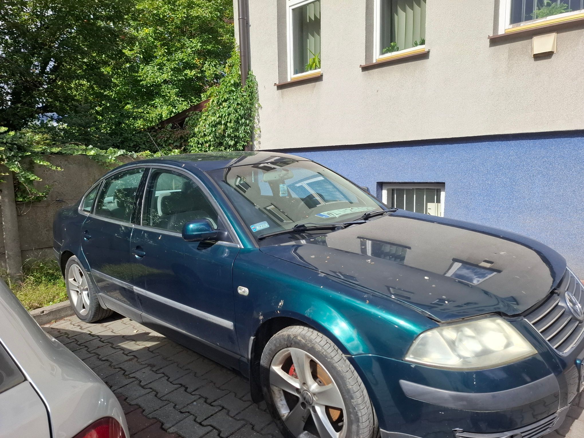 Zielony samochód Volkswagen Passat widok z boku.