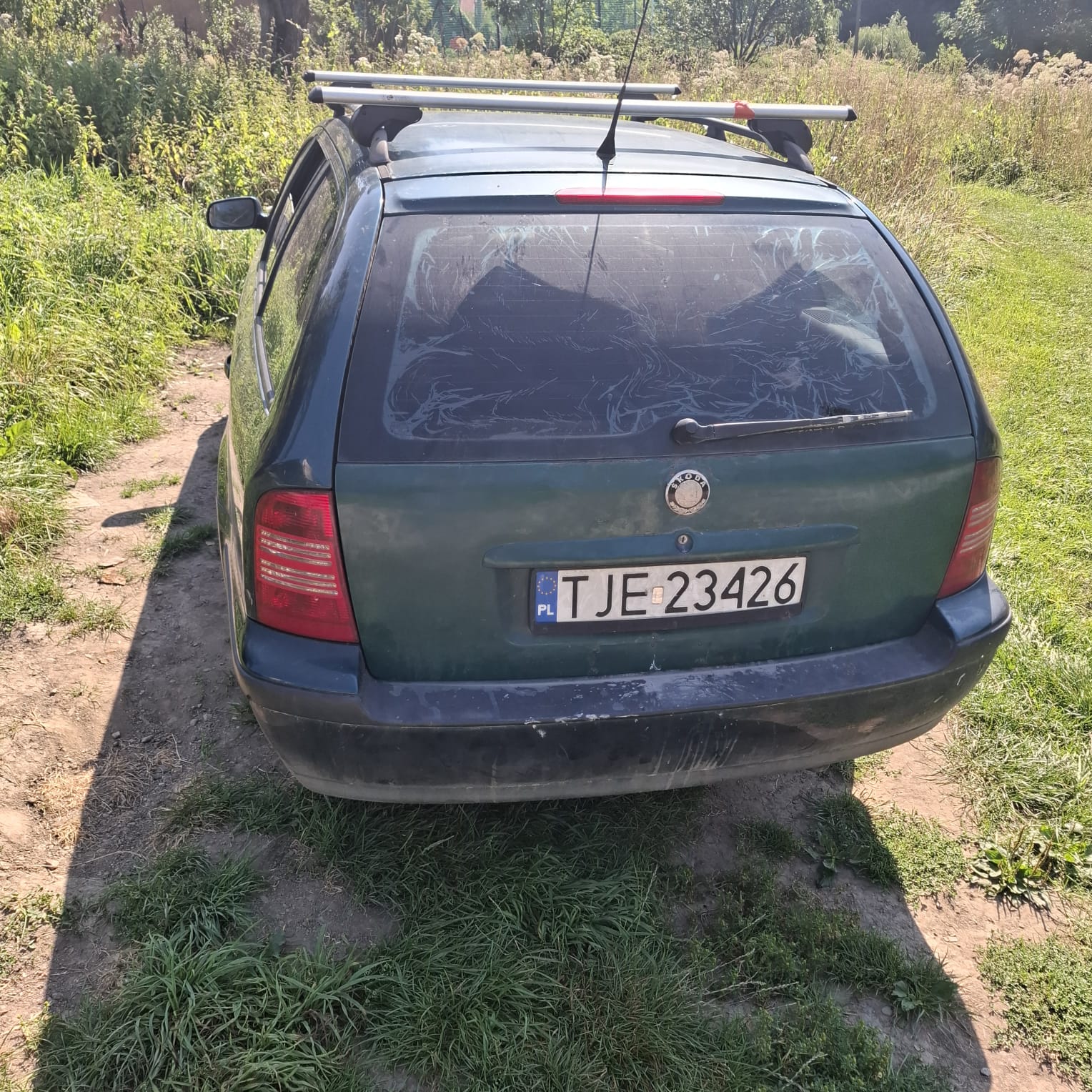 Tylna część zielonego samochodu osobowego marki Skoda Octavia.