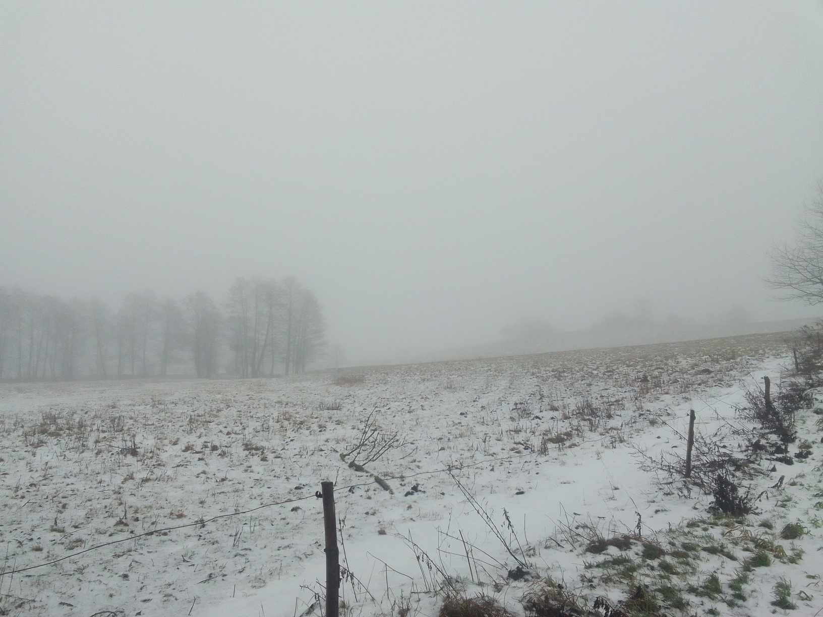 Na zdjęciu widać ogrodzoną część licytowanego pola, które pokryte jest śniegiem. W oddali widać kilkanaście drzew.