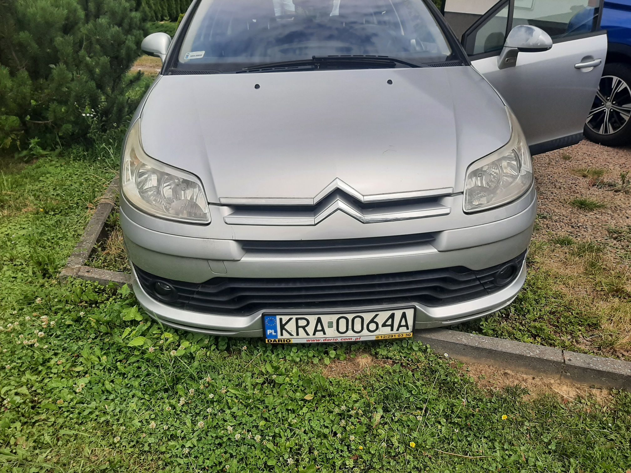 Srebrny Citroen C4 od przodu. Widoczne reflektory, logo marki.