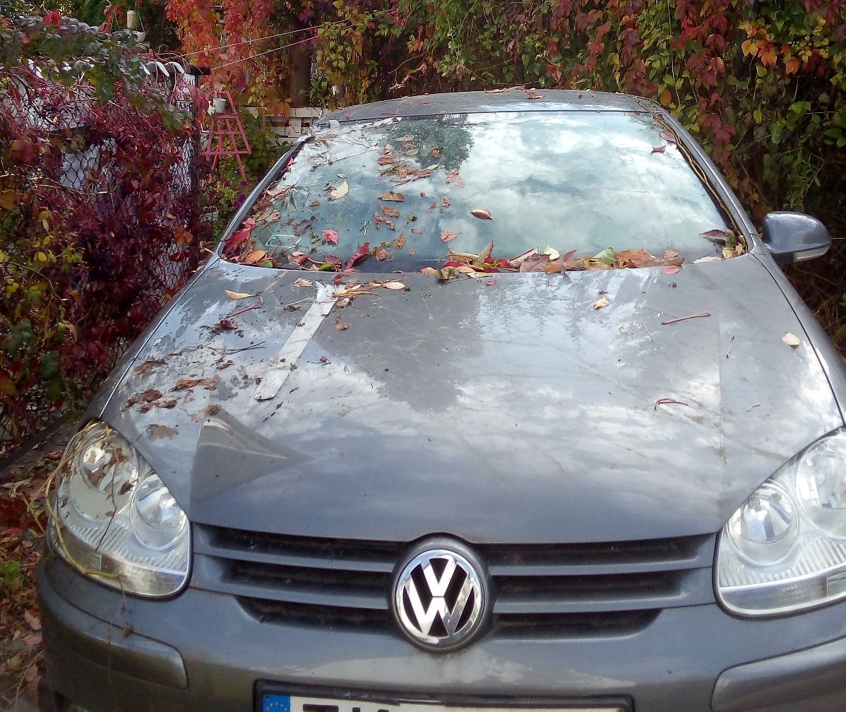 Samochód osobowy VW Golf koloru stalowego widziany z przodu