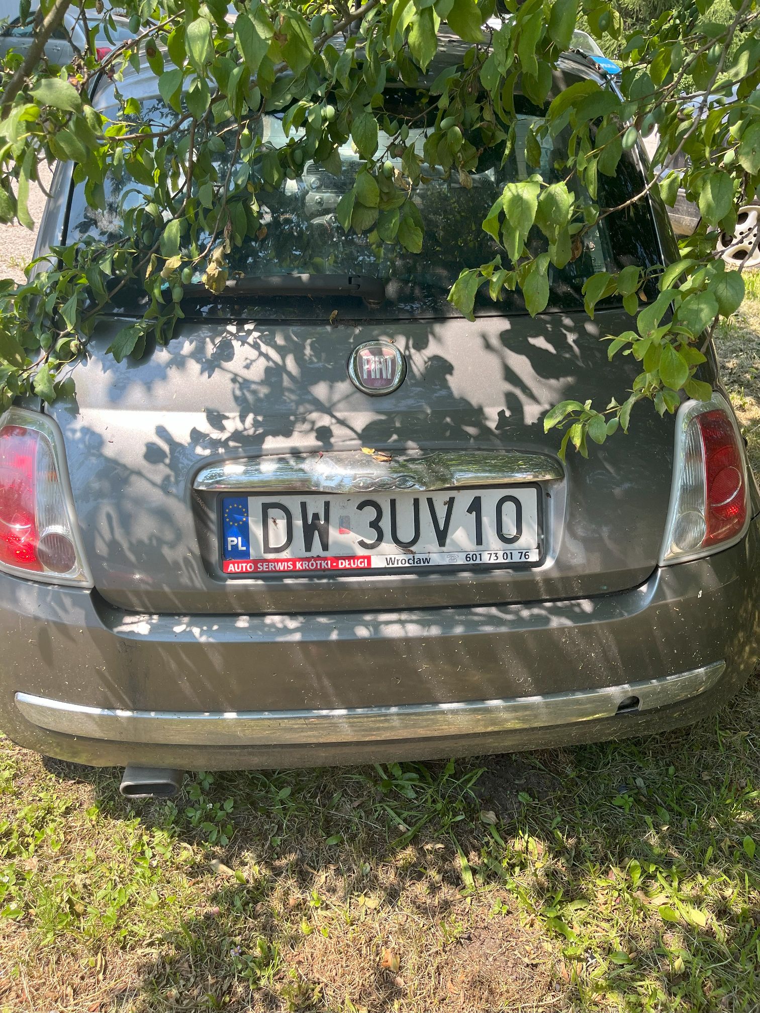 Tył pojazdu z widoczną szybą, lampami i tablicą rejestracyjną