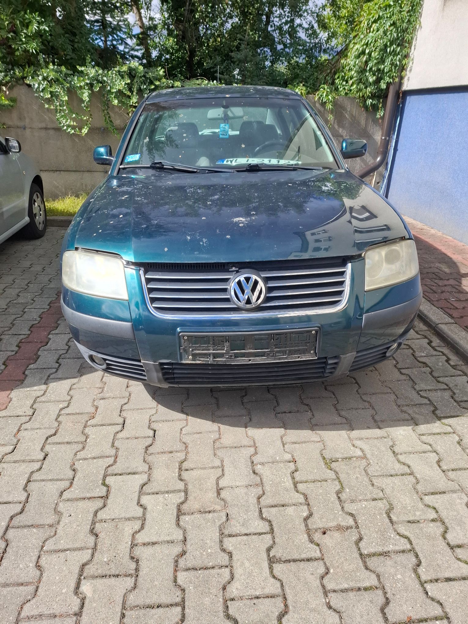 Zielony samochód Volkswagen Passat widok z przodu.
