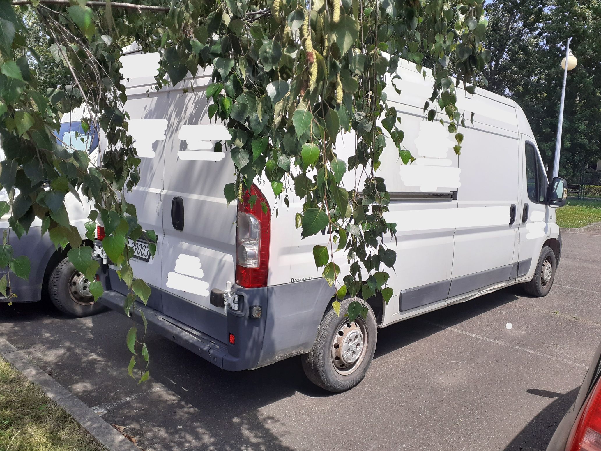 Fiat Ducato koloru białego. Tył pojazdu.