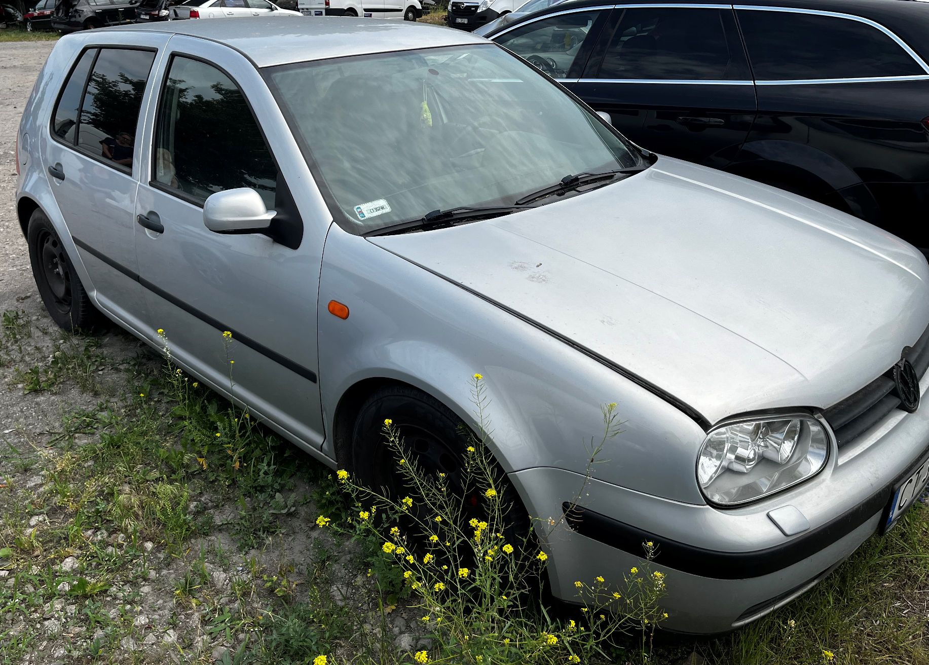 szary metalik Volkswagen Golf widoczny z przodu z prawej strony