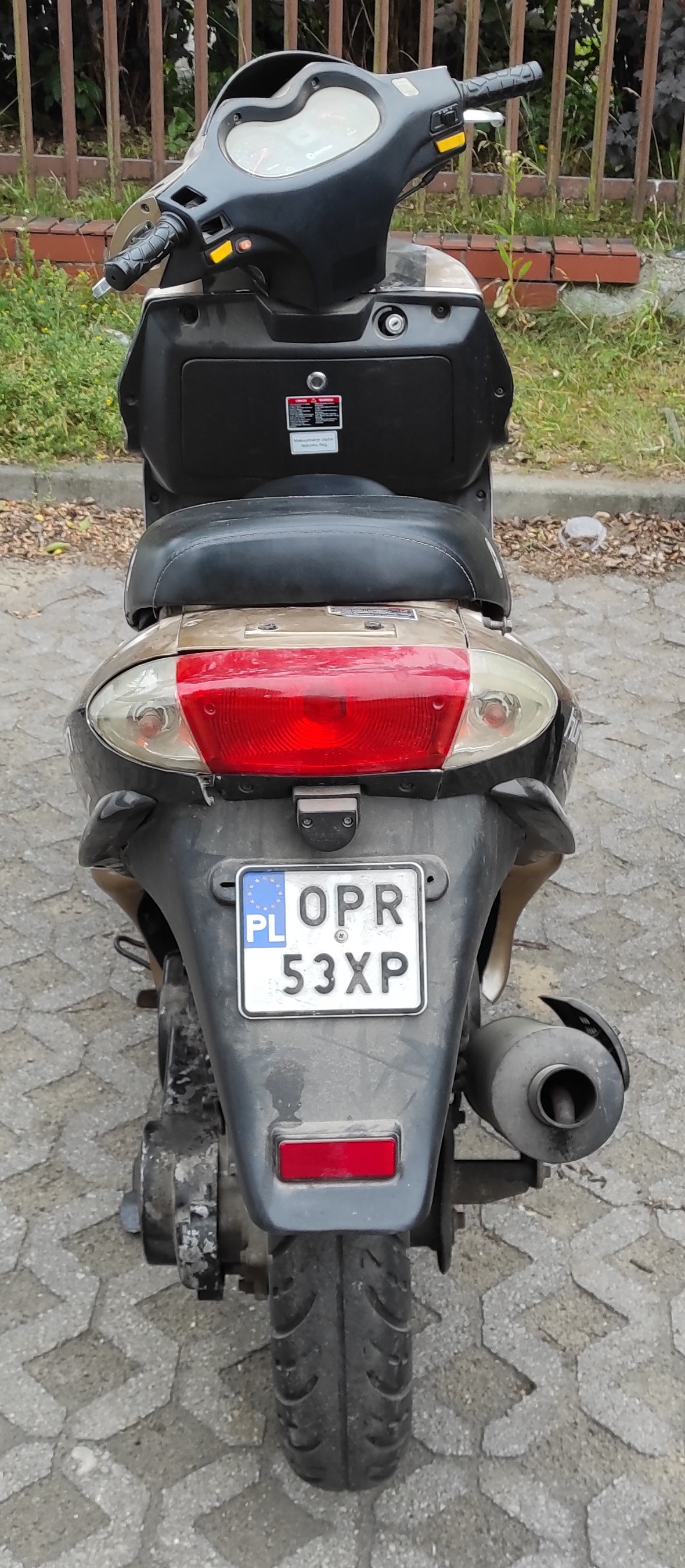 Widok z tyłu, widoczna tablica rejestracyjna OPR53XP.