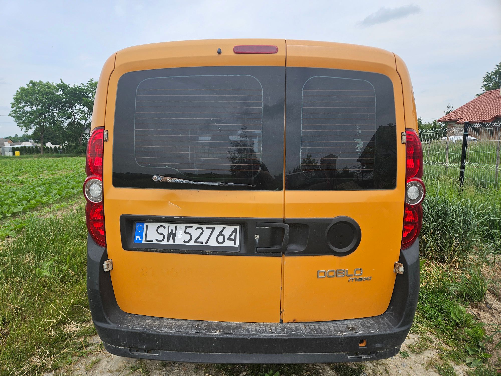 tył pomarańczowego Fiata