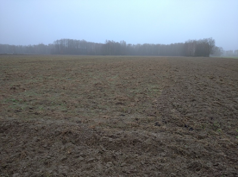 Nieruchomość gruntowa nr 388 w Krasówce - zdjęcie 1