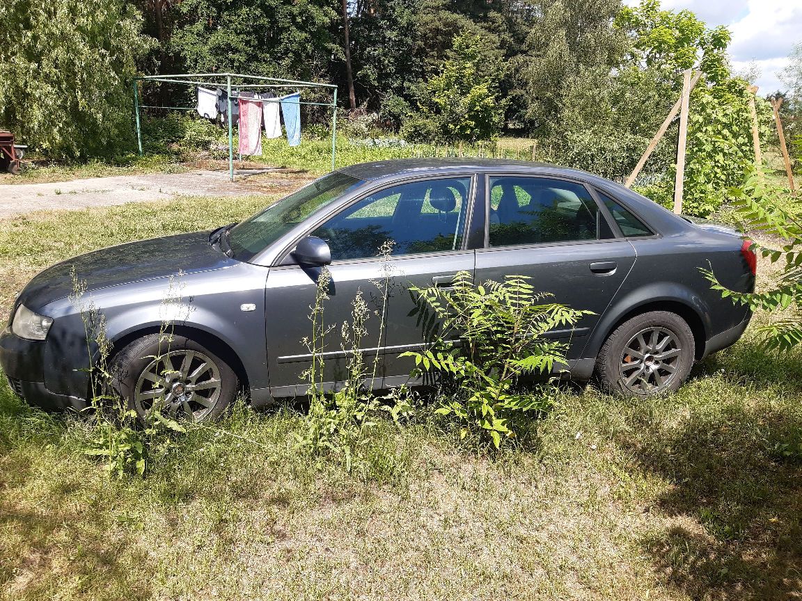 Szary sedan Audi A4 z alufelgami, widoczny od lewego boku z wyrwanymi zaczepami od obudowy plastikowej pod przednim błotnikiem.