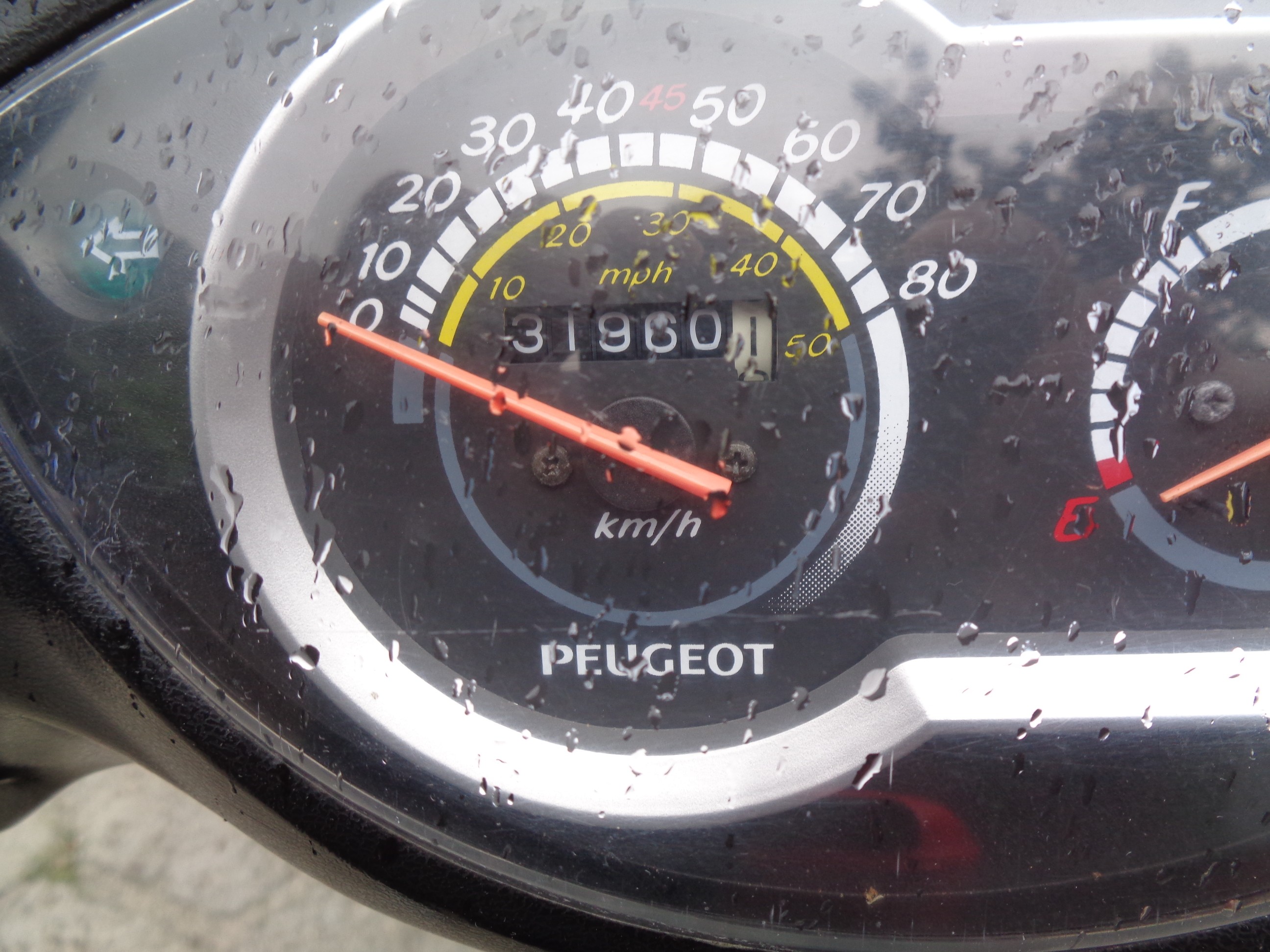 Prędkościomierz marki Peugeot, licznik wskazuje 31 960 km.