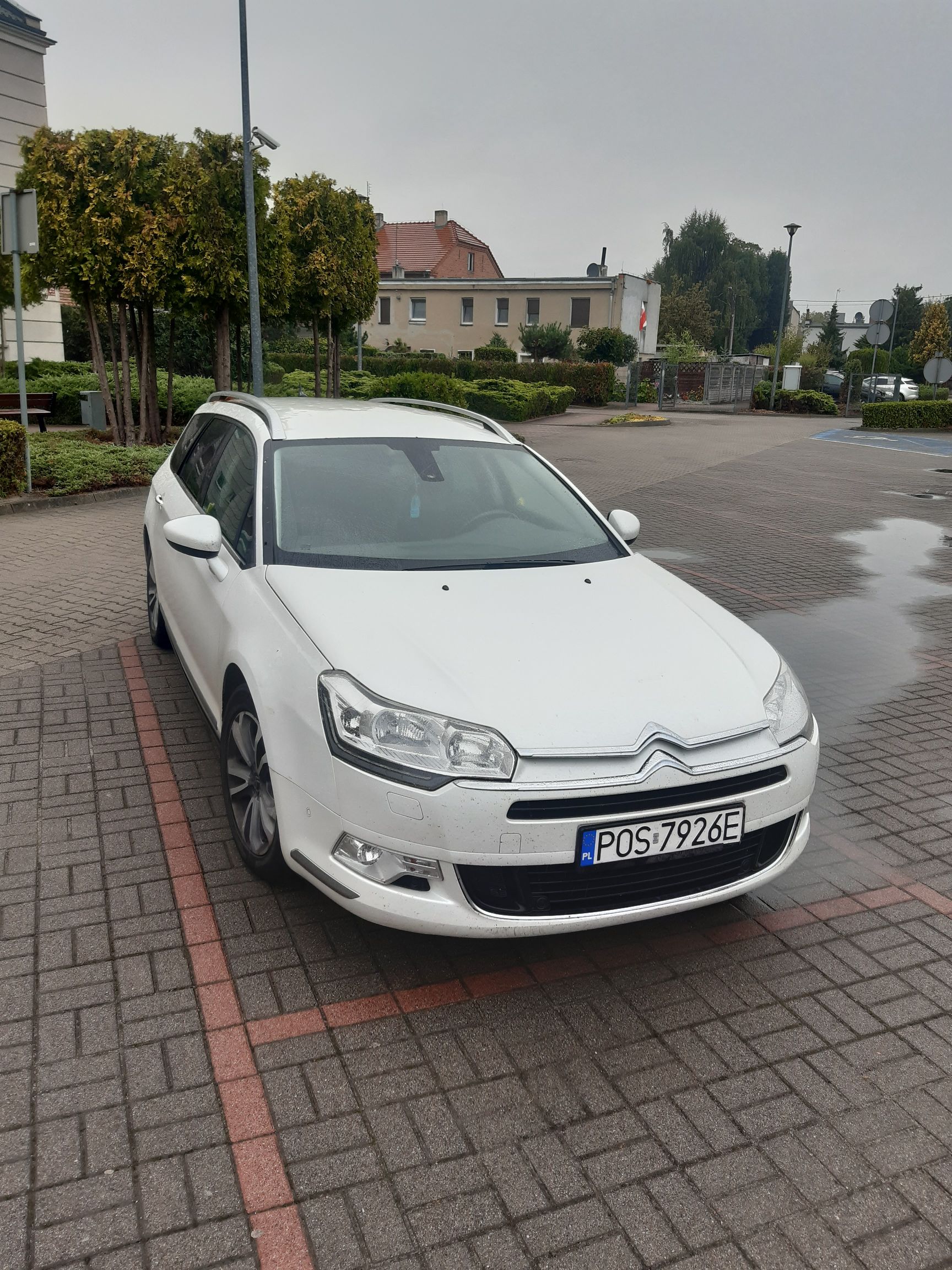 Zdjęcie przedstawia białe kombi. Duże reflektory, linia nadwozia z chromowanymi wstawkami oraz relingi dachowe.