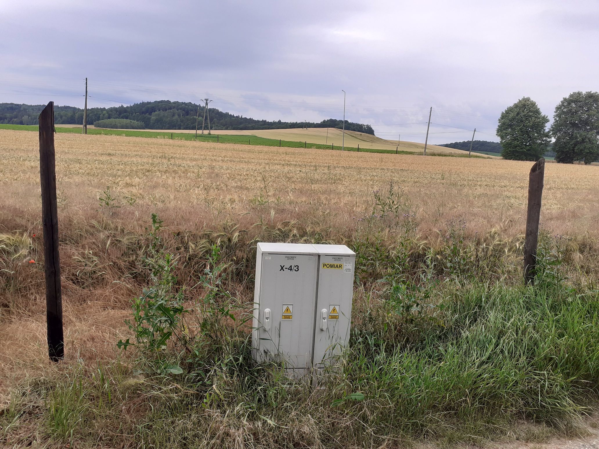 działka porośnięta zbożem z widoczną skrzynką energetyczną