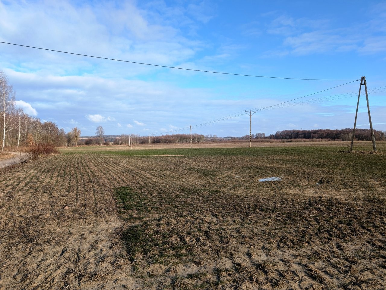niezabudowana działka nr 241/4 na której znajdują się słupy i napowietrzne linie elektroenergetyczne