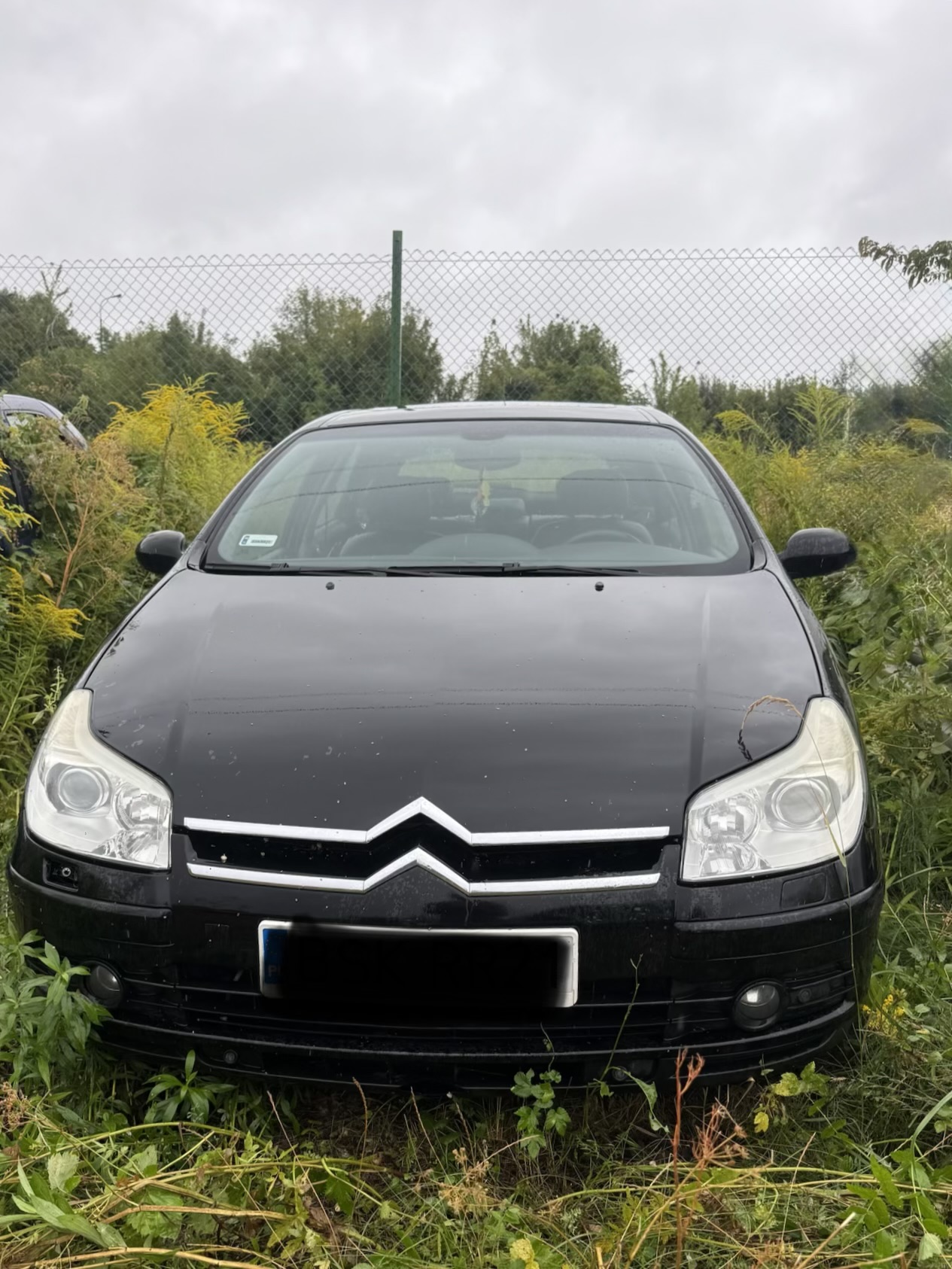 Citroën C5 - zdjęcie 1