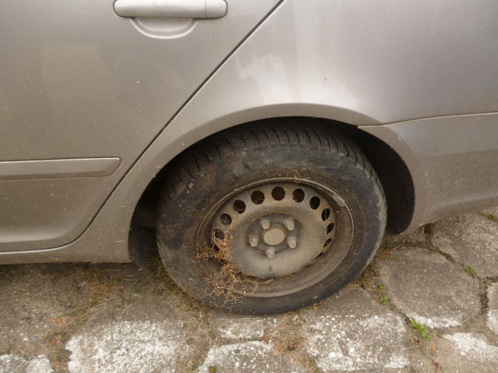 Zdjęcie przedstawia tylne lewe nadkole pojazdu