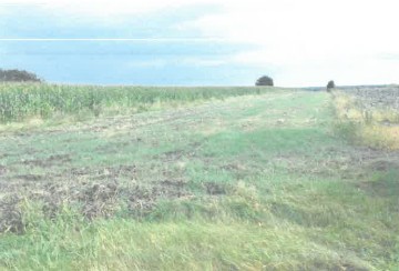 Zdjęcie przedstawia nieruchomość gruntową. Działka jest użytkowana rolniczo.