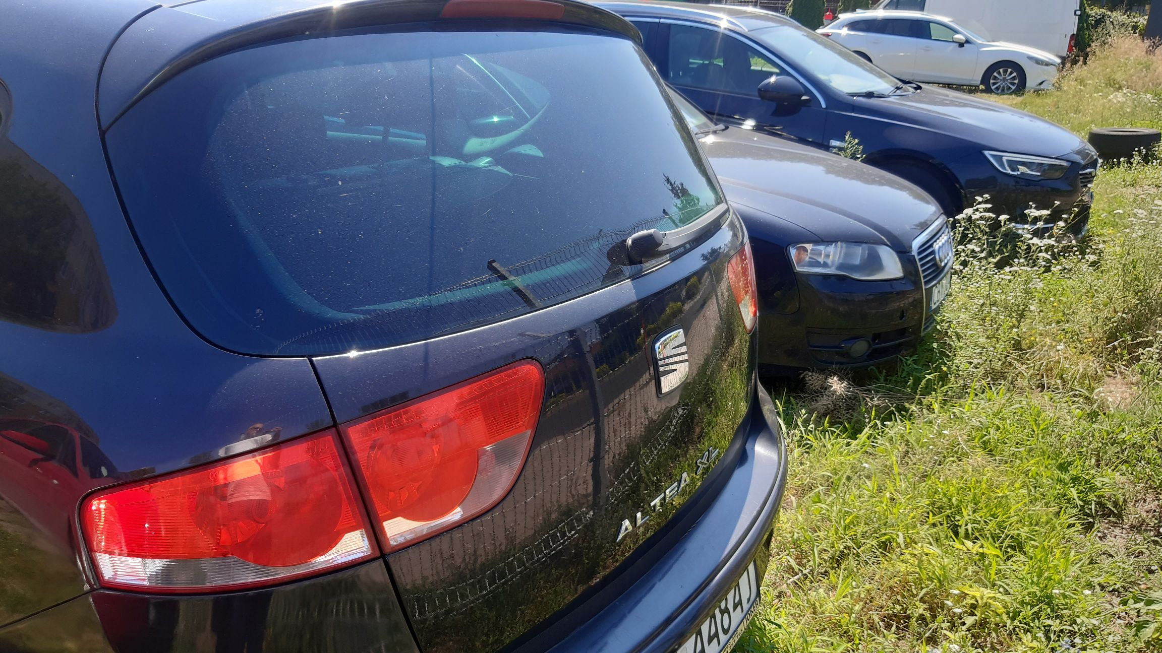 Ciemnogranatowy Seat widok tylnej klapy