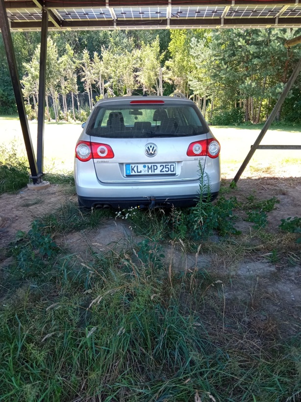 Volkswagen Passat - tył
