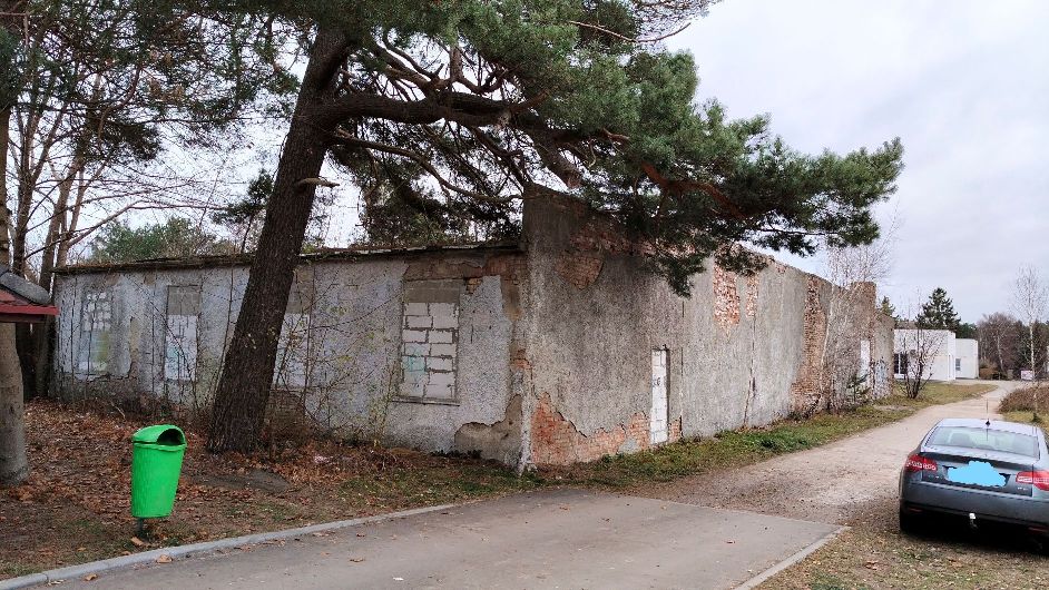Zniszczony betonowy budynek z uszkodzonymi ścianami, przy budynku duże drzewo.
