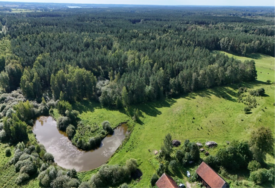 Zdjęcie działki z perspektywy zza siedliska. Widać granice z lasem i zbiornikiem wodnym.