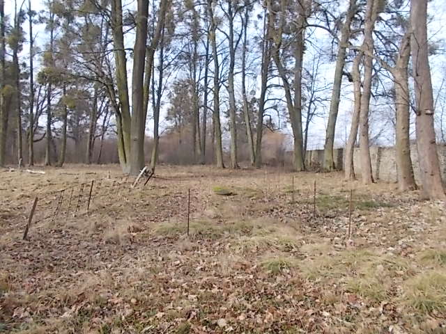 Teren zieleni cz.1