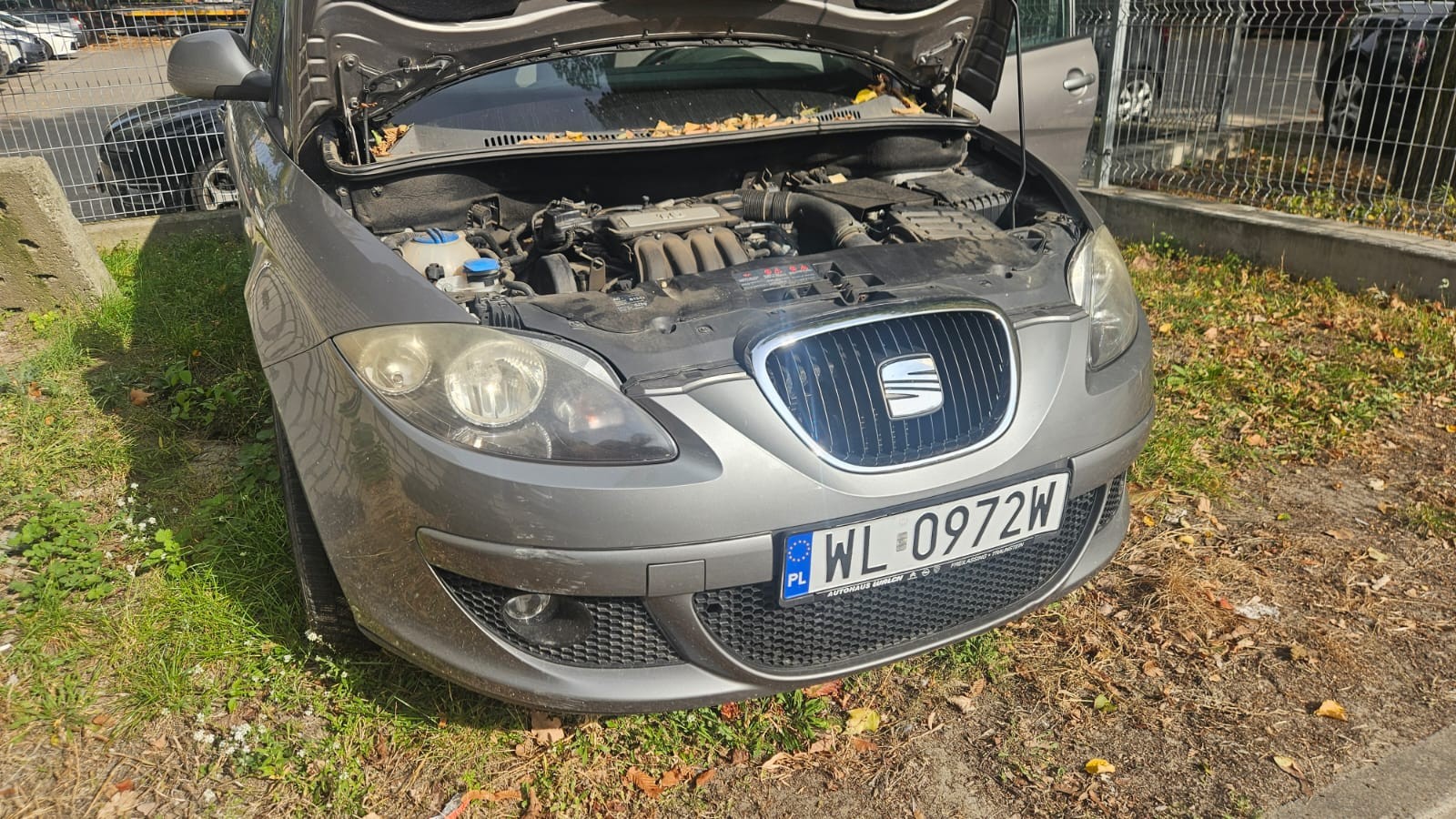 przód auta z otwartą klapą silnika