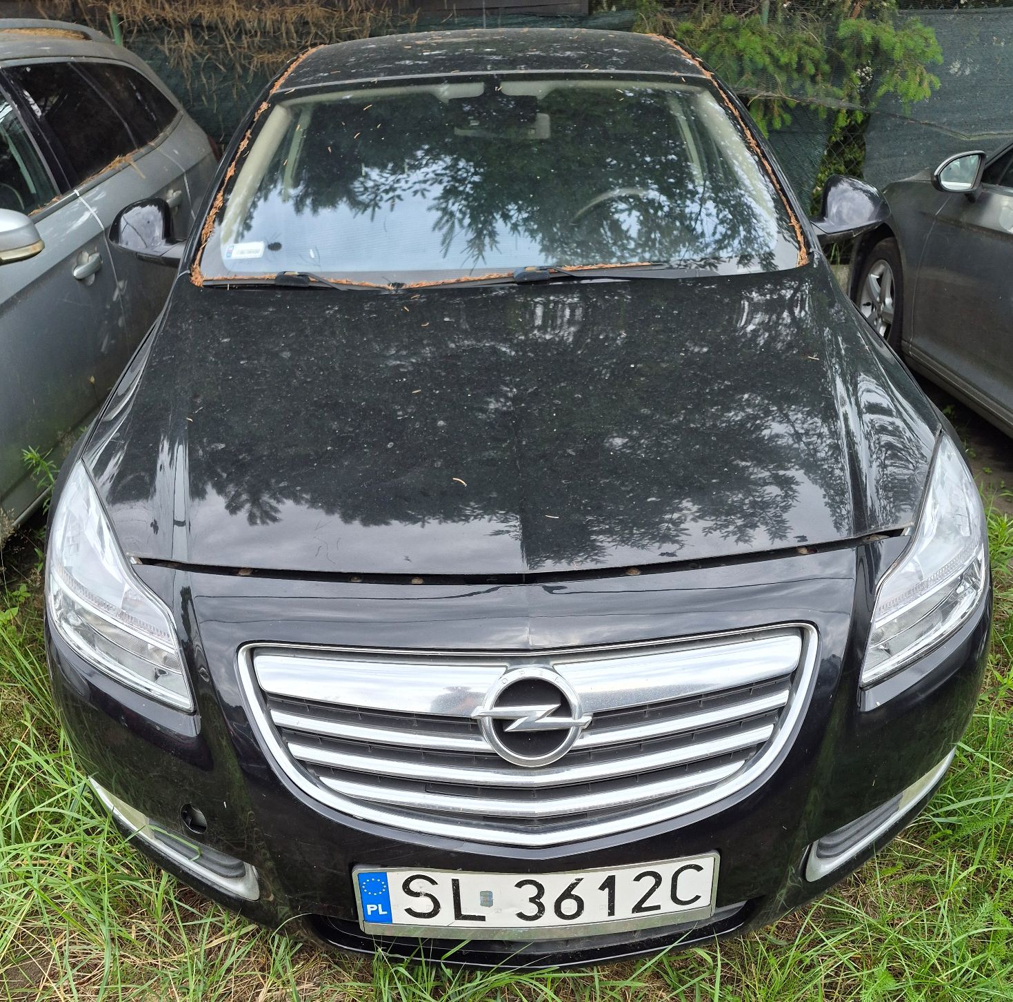 Opel Insignia - zdjęcie 1